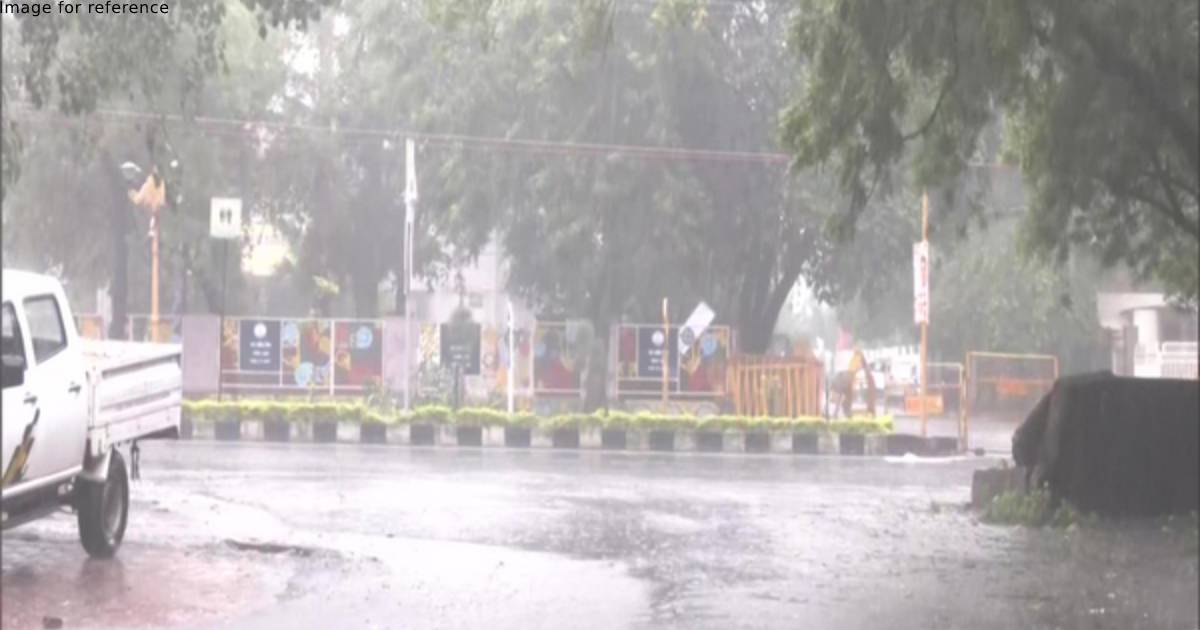Madhya Pradesh: Schools in Narmadapuram closed today due to heavy rains